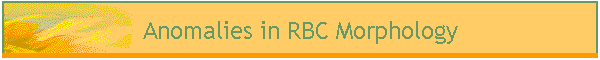Anomalies in RBC Morphology