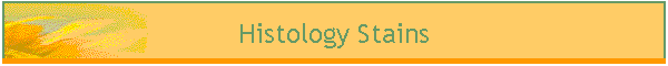 Histology Stains