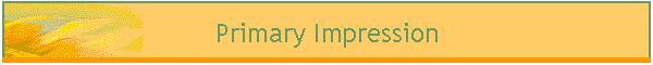 Primary Impression