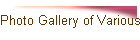 Photo Gallery of Various Departments